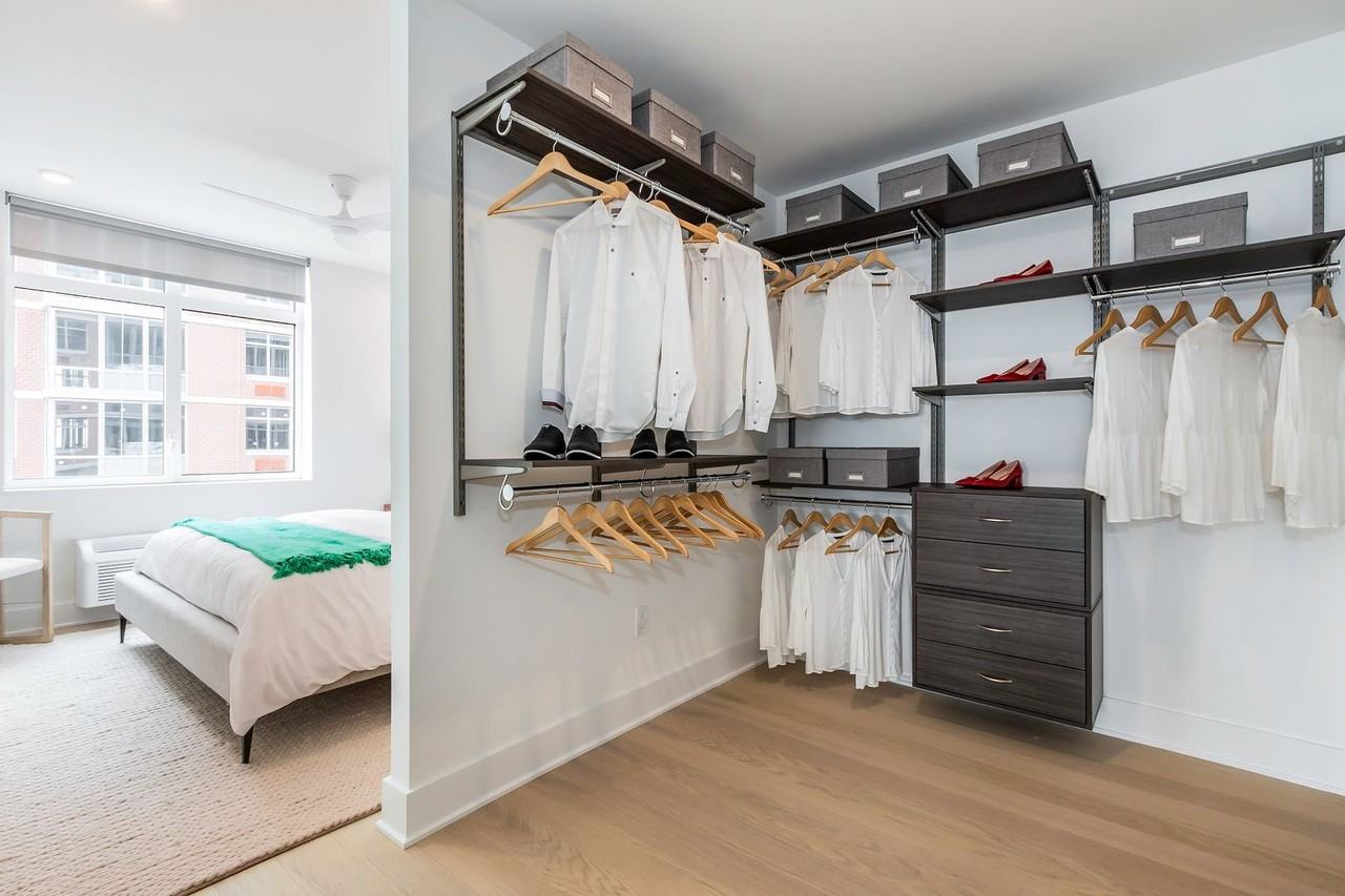 Duchess - Photo 7 of 50