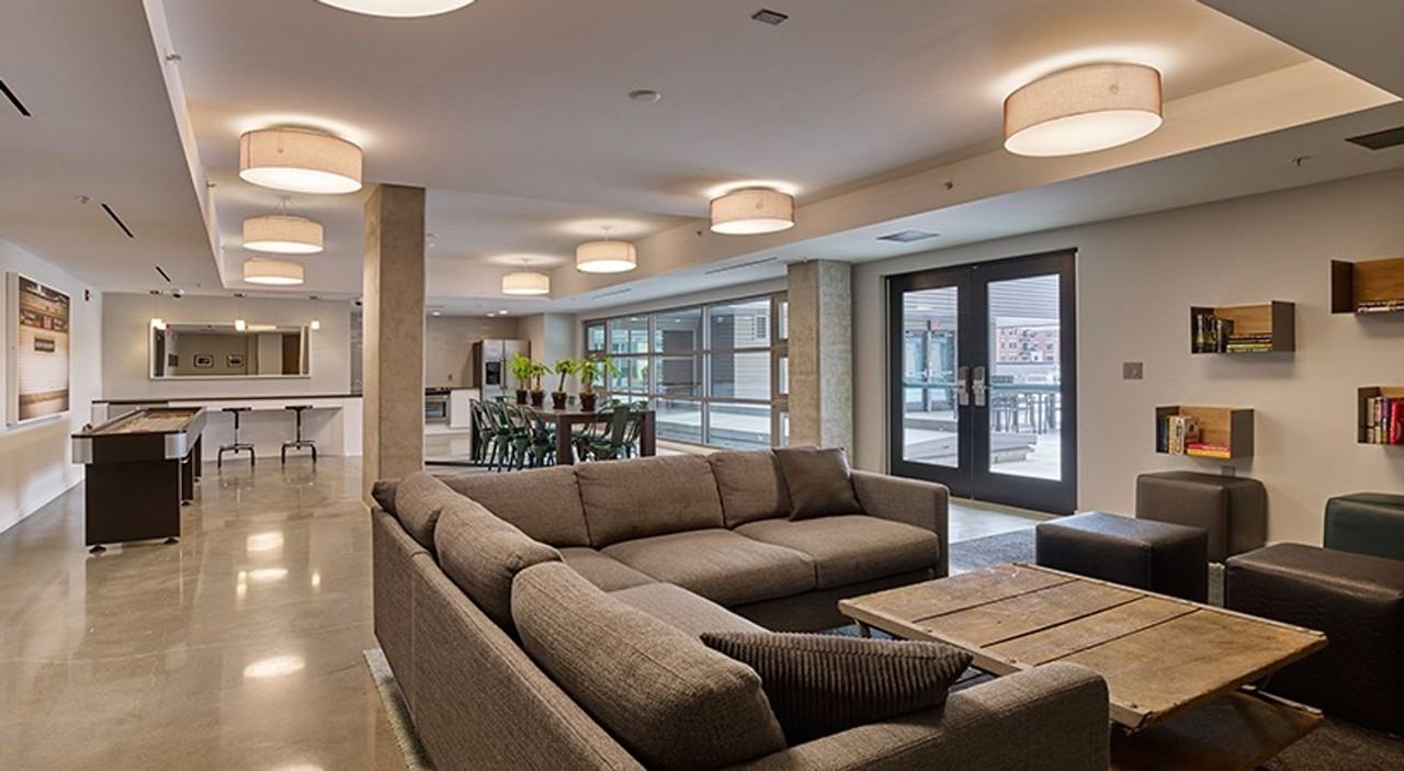 The Vine - Photo 2 of 50