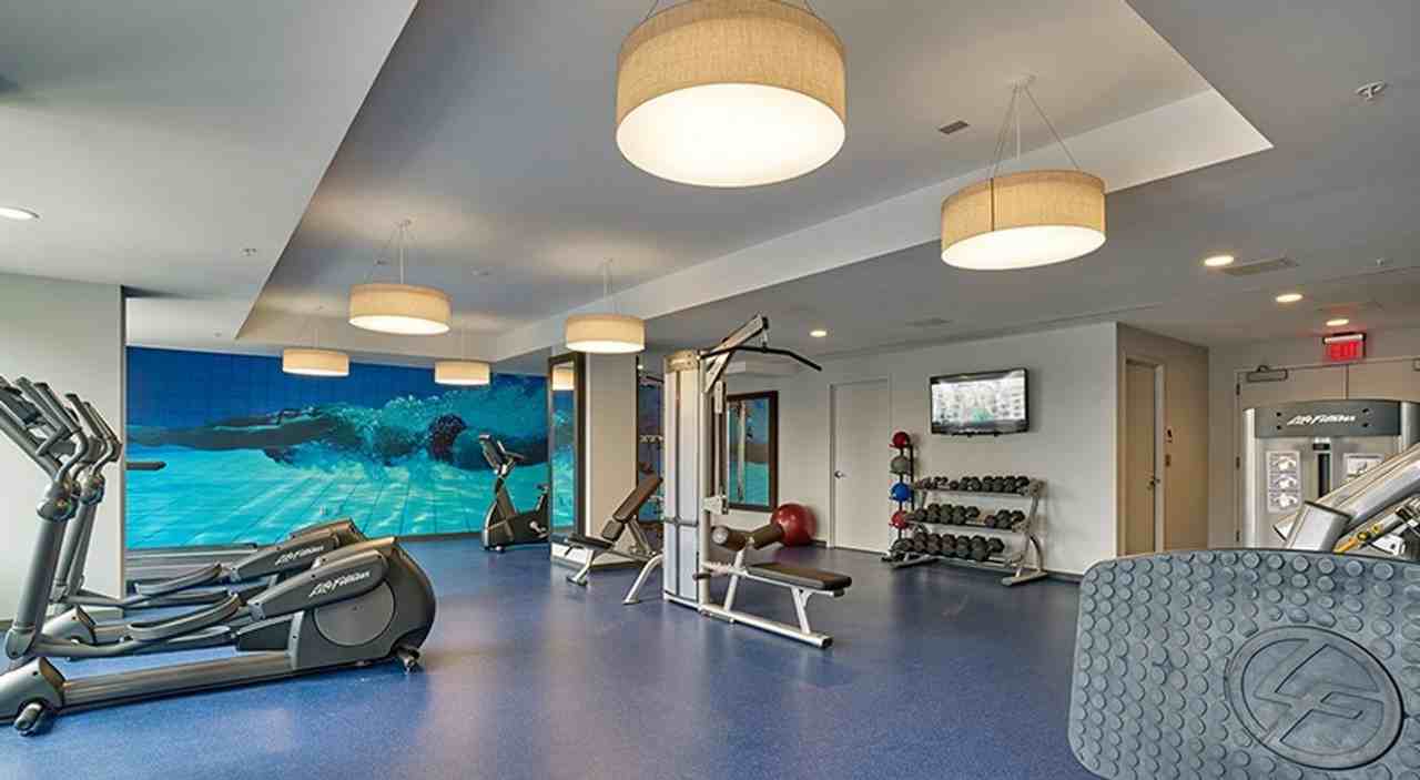 The Vine - Photo 3 of 50