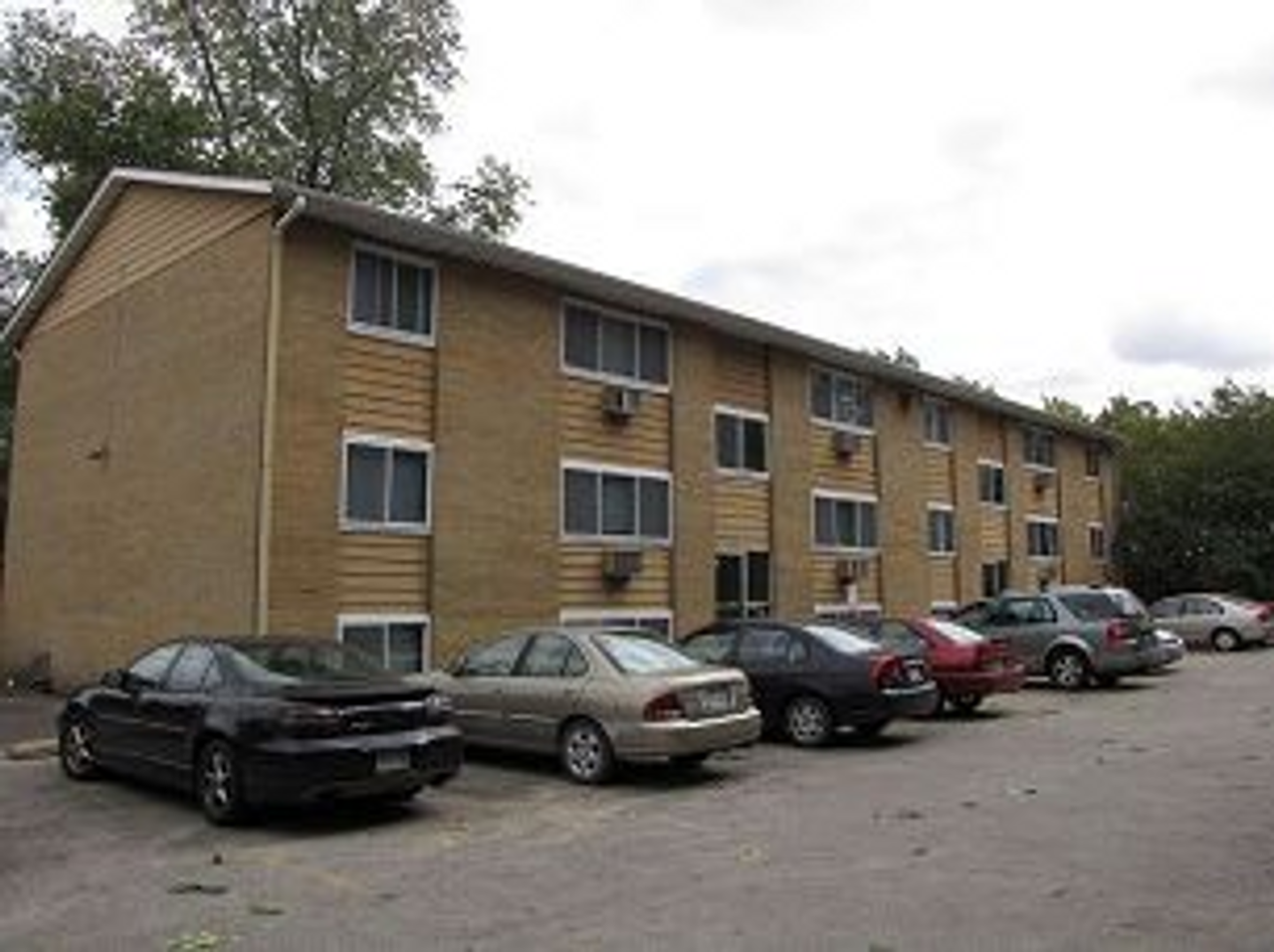 Old Gold - Photo 7 of 23