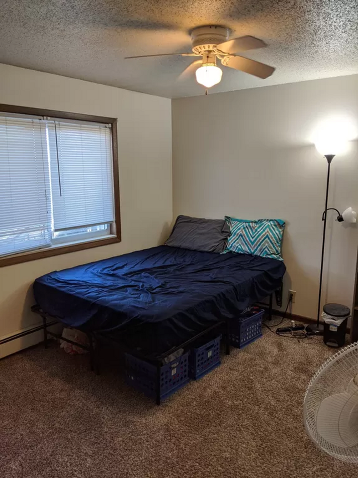 Old Gold - Photo 5 of 23