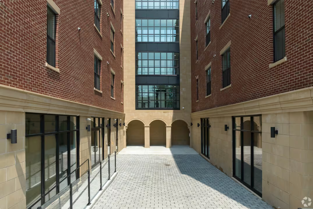 The Elm - Photo 2 of 7