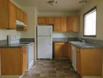 Shannon - Photo 1 of 1