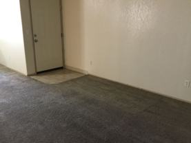 Fircrest - Photo 1 of 1