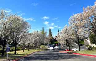 featured image of 2301 Sammy Way