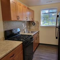 Wyncote Apartments - Photo 1 of 1