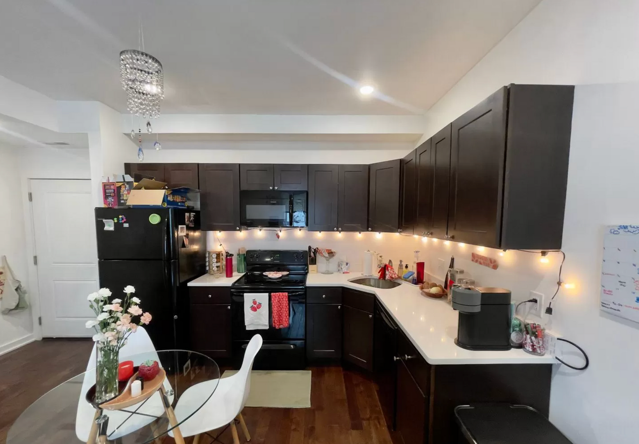 Newly Renovated Apartments - Photo 3 of 15