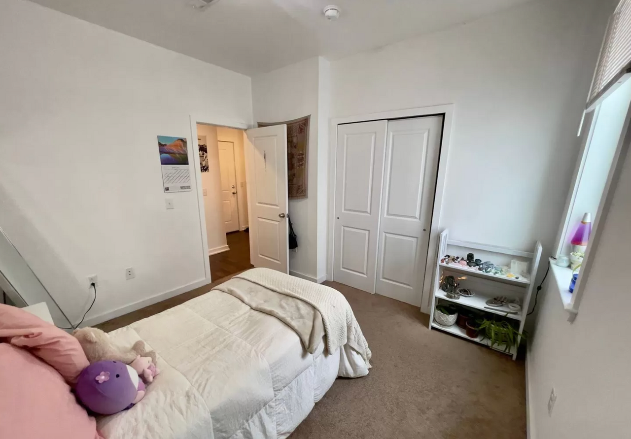 Newly Renovated Apartments - Photo 4 of 15