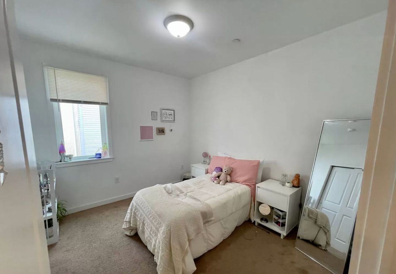 Newly Renovated Apartments - Photo 5 of 15
