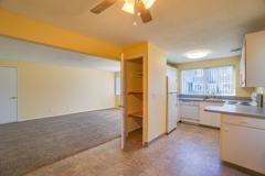 Polynesian Terrace - Photo 1 of 1