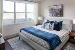 Cobalt Lofts Luxury Rentals - Photo 1 of 1