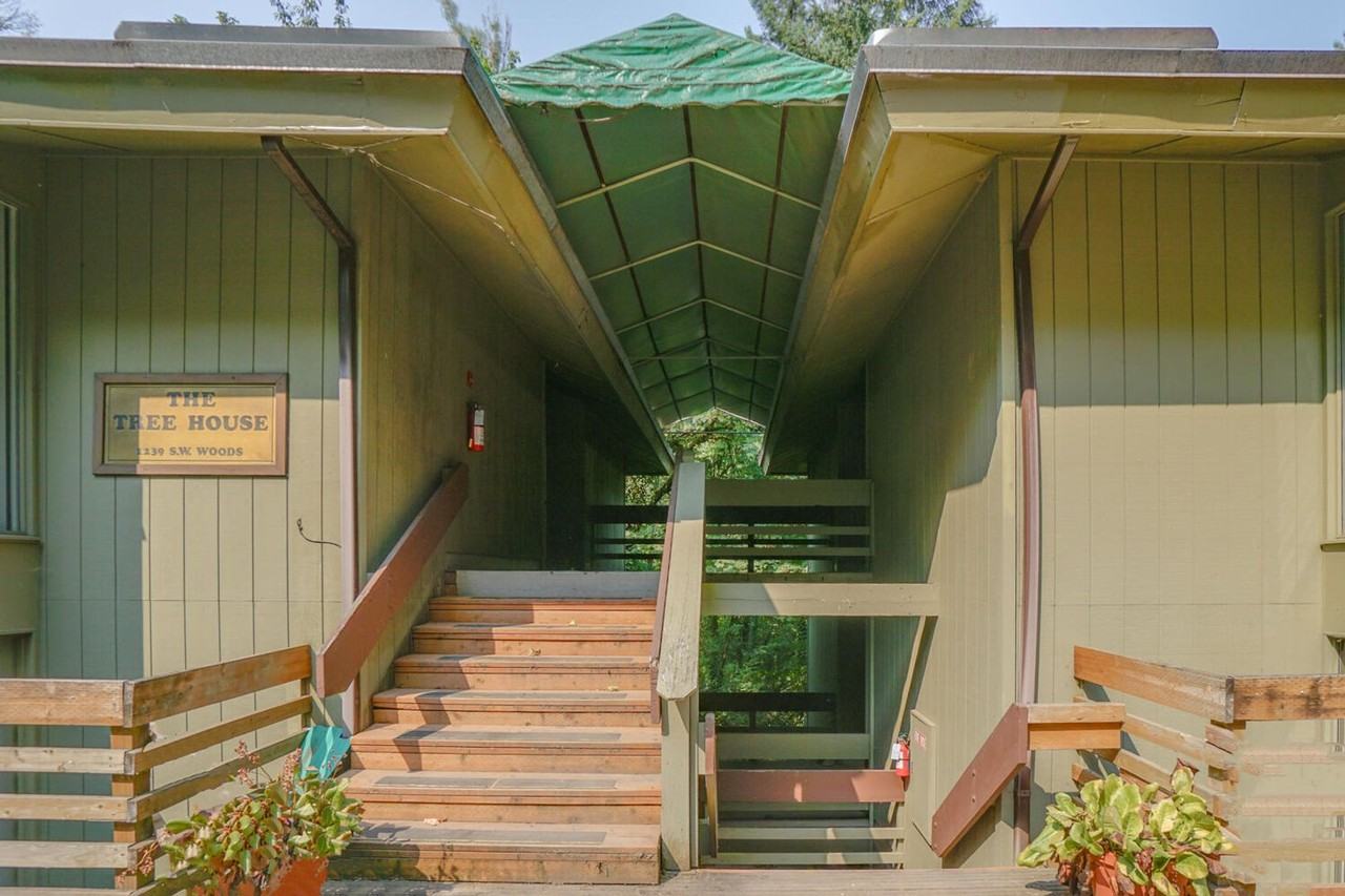 The Tree House - Photo 2 of 50