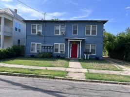 featured image of 217-Lotus