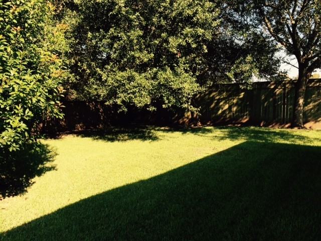 10003 Caleb Way - Photo 3 of 19