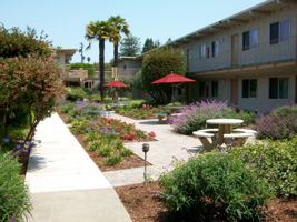 815 Pacific Ave. Apartments 815 Pacific Ave Santa Cruz CA