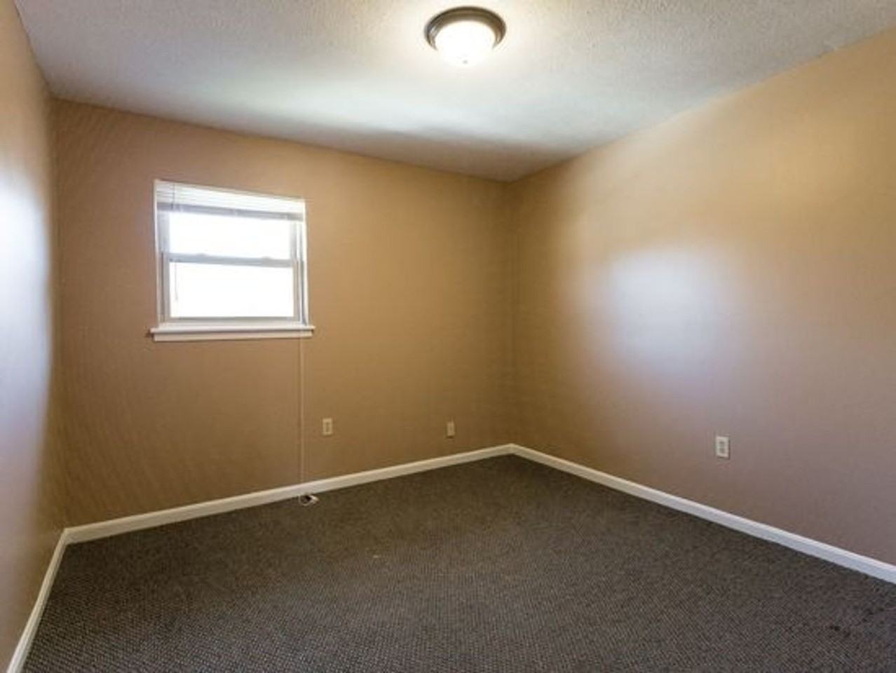 4904 Saddlebrook Lane - Photo 6 of 10