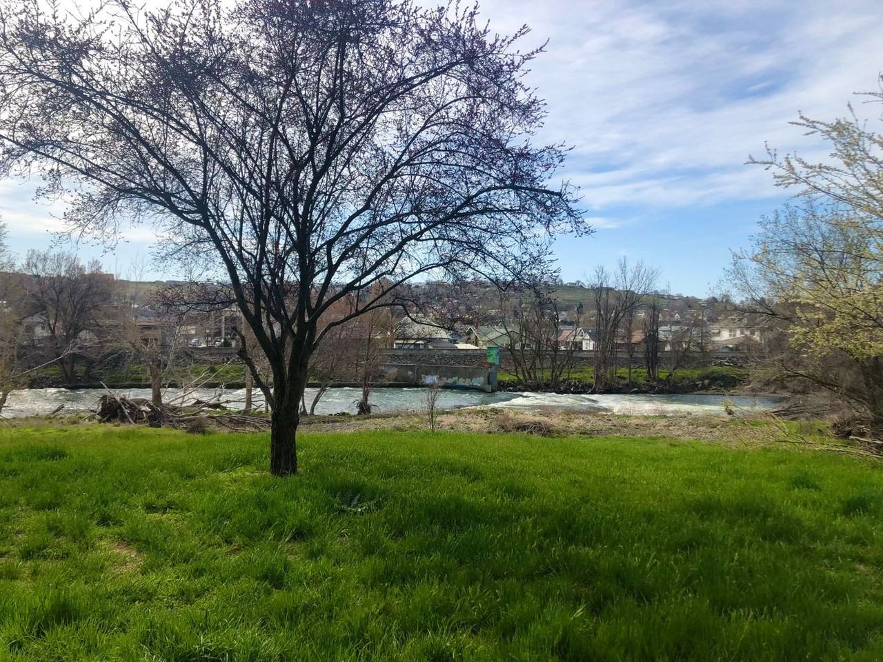 516 Northwest Bailey Avenue #3 - Photo 2 of 13