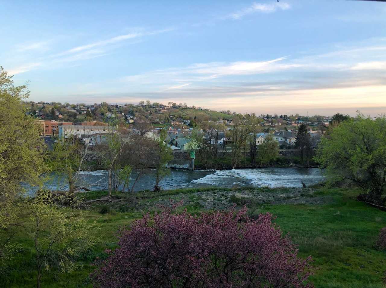 516 Nw Bailey Ave #8 - Photo 2 of 12