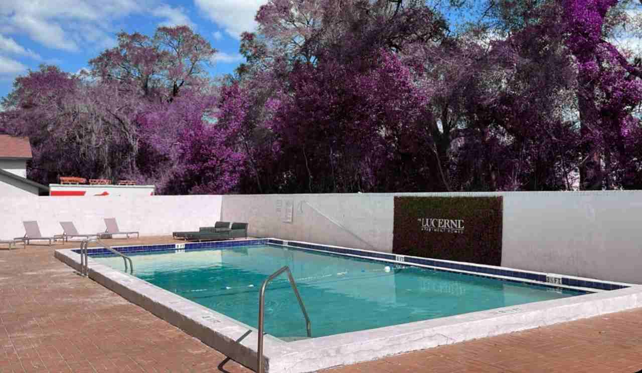 The Lucerne Apartments - Photo 3 of 10