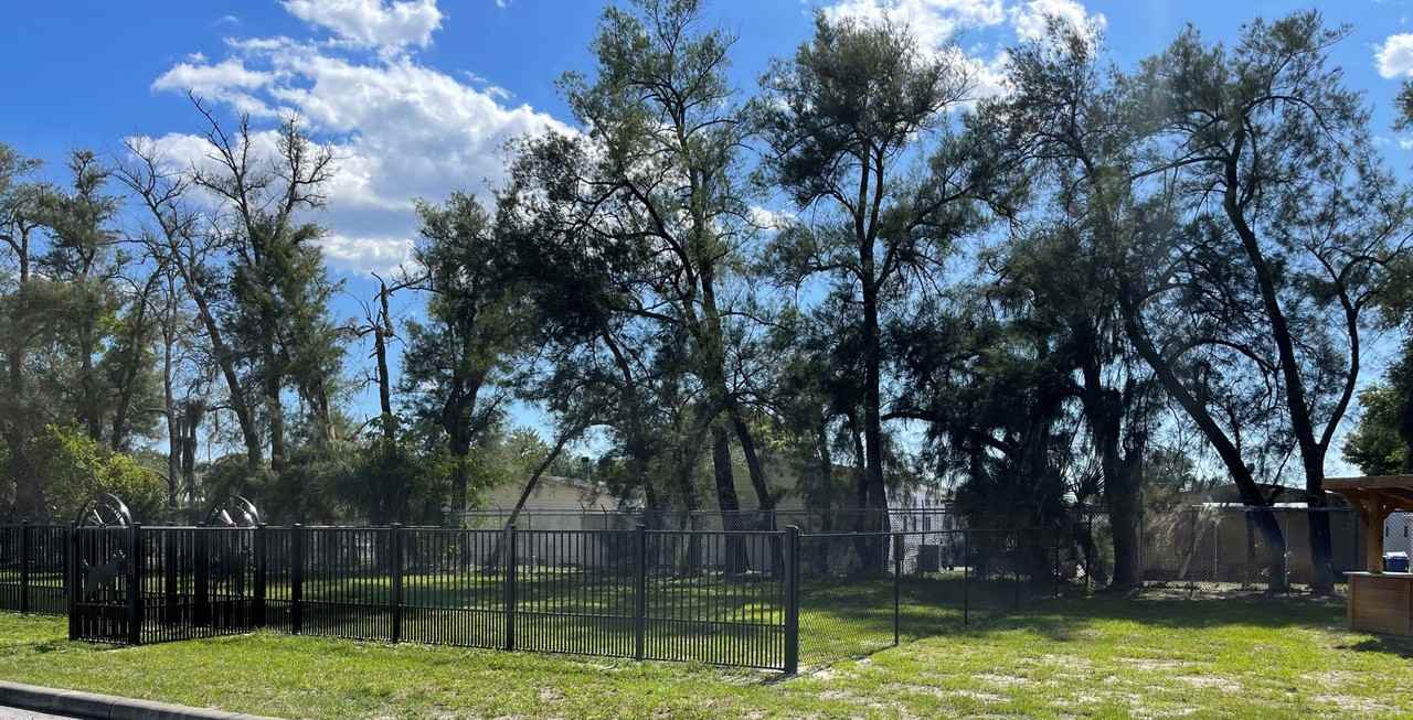 The Lucerne Apartments - Photo 5 of 10