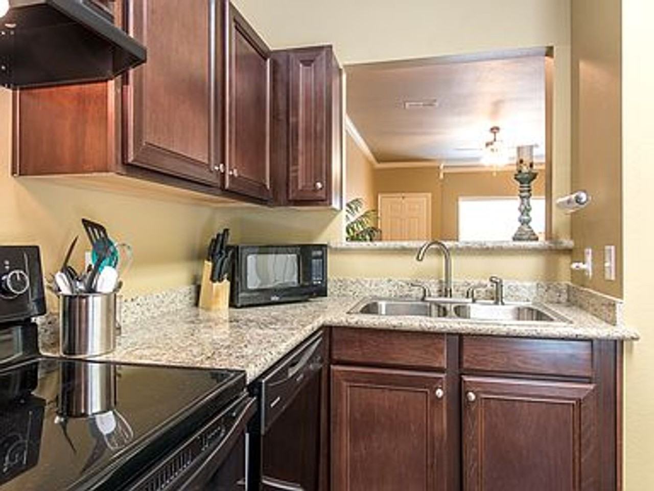 The Woods - Photo 2 of 50