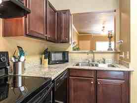 The Woods - Photo 1 of 1