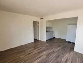 The Pier - Photo 1 of 1