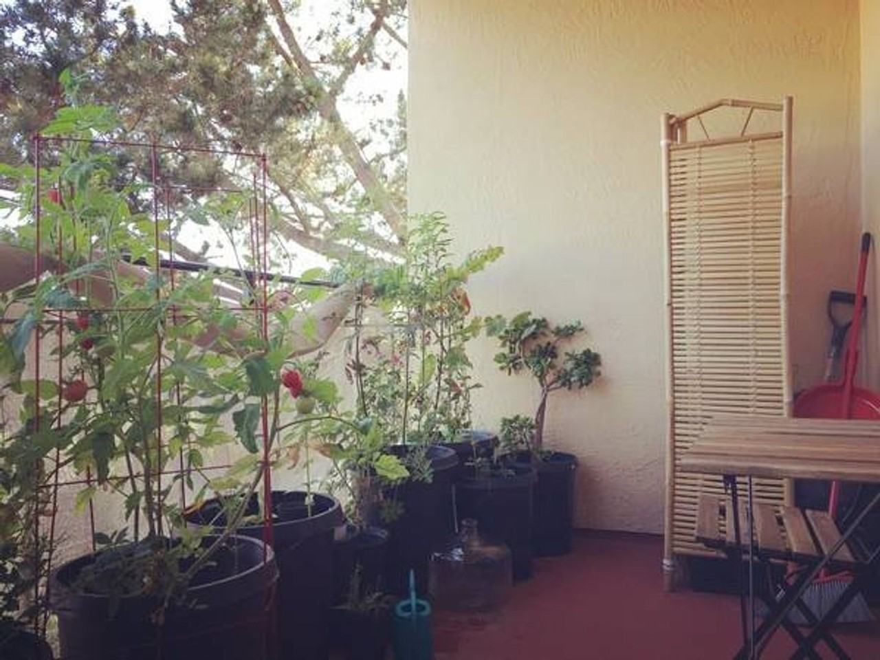 1920 Francisco LLC - Photo 6 of 14