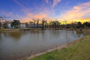 Pine Lake #5 - Photo 1 of 1