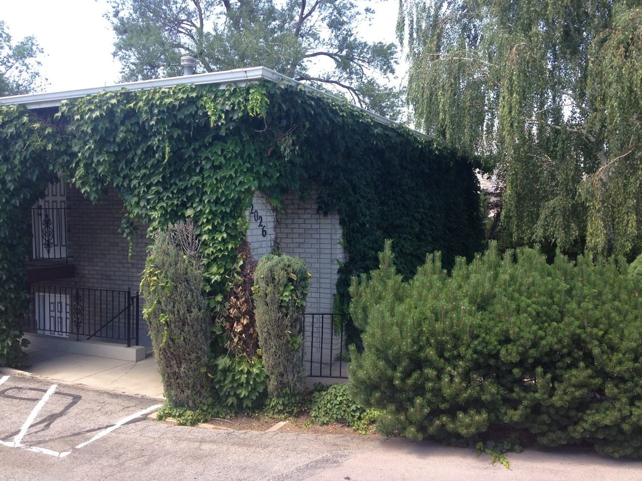 Orchard Grove - Photo 2 of 19