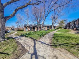 Orchard Gardens  (OG) - Photo 1 of 1