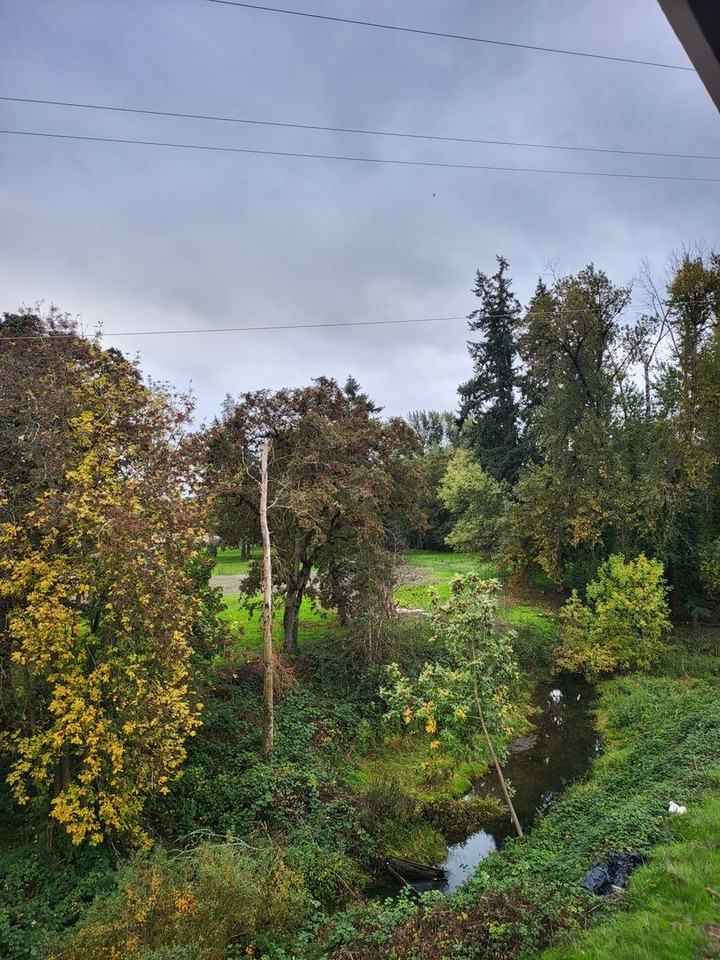 972 N 2nd Street - Photo 5 of 50