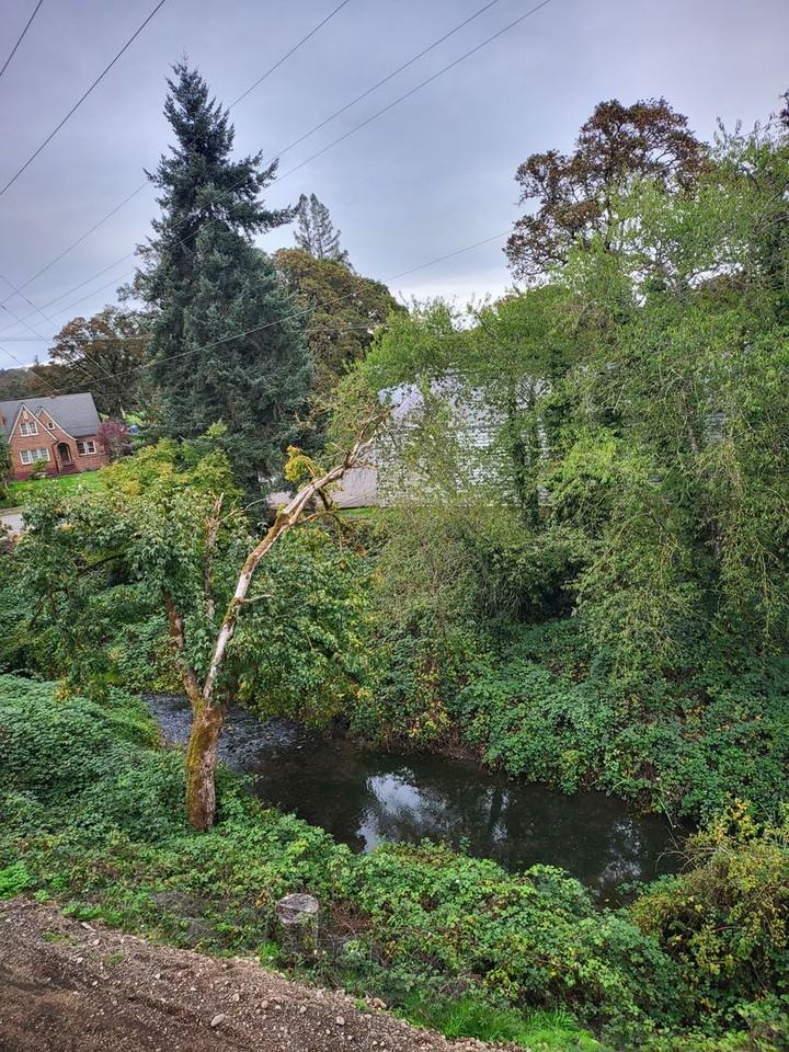 972 N 2nd Street - Photo 6 of 50