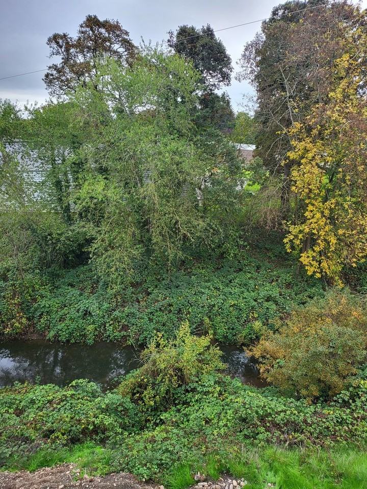 972 N 2nd Street - Photo 7 of 50