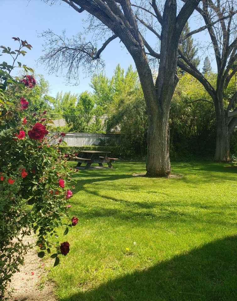 Sherwood Arms Apartments - Photo 7 of 10