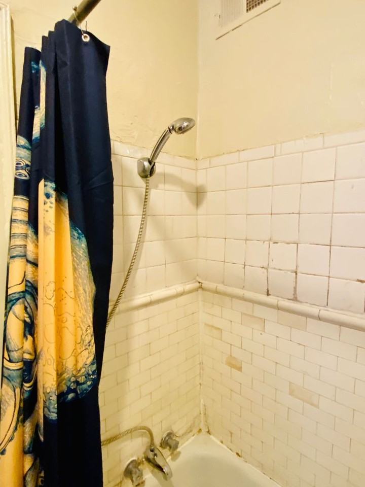 1128 W. Grace St.* - Photo 4 of 20