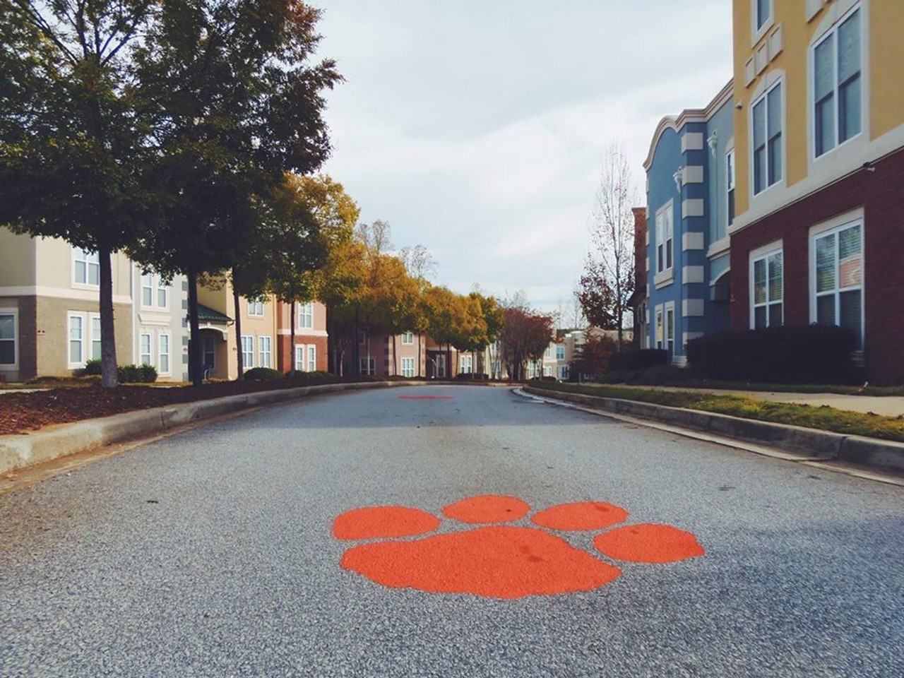 VATC - Photo 2 of 50