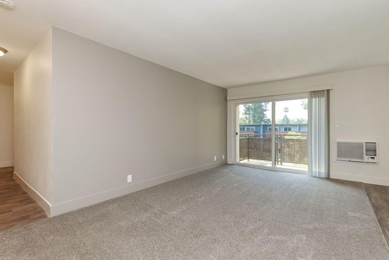 Shoreline 1841 Apartment Homes - Photo 5 of 23