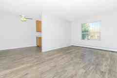 Aspen Leaf - Photo 1 of 1