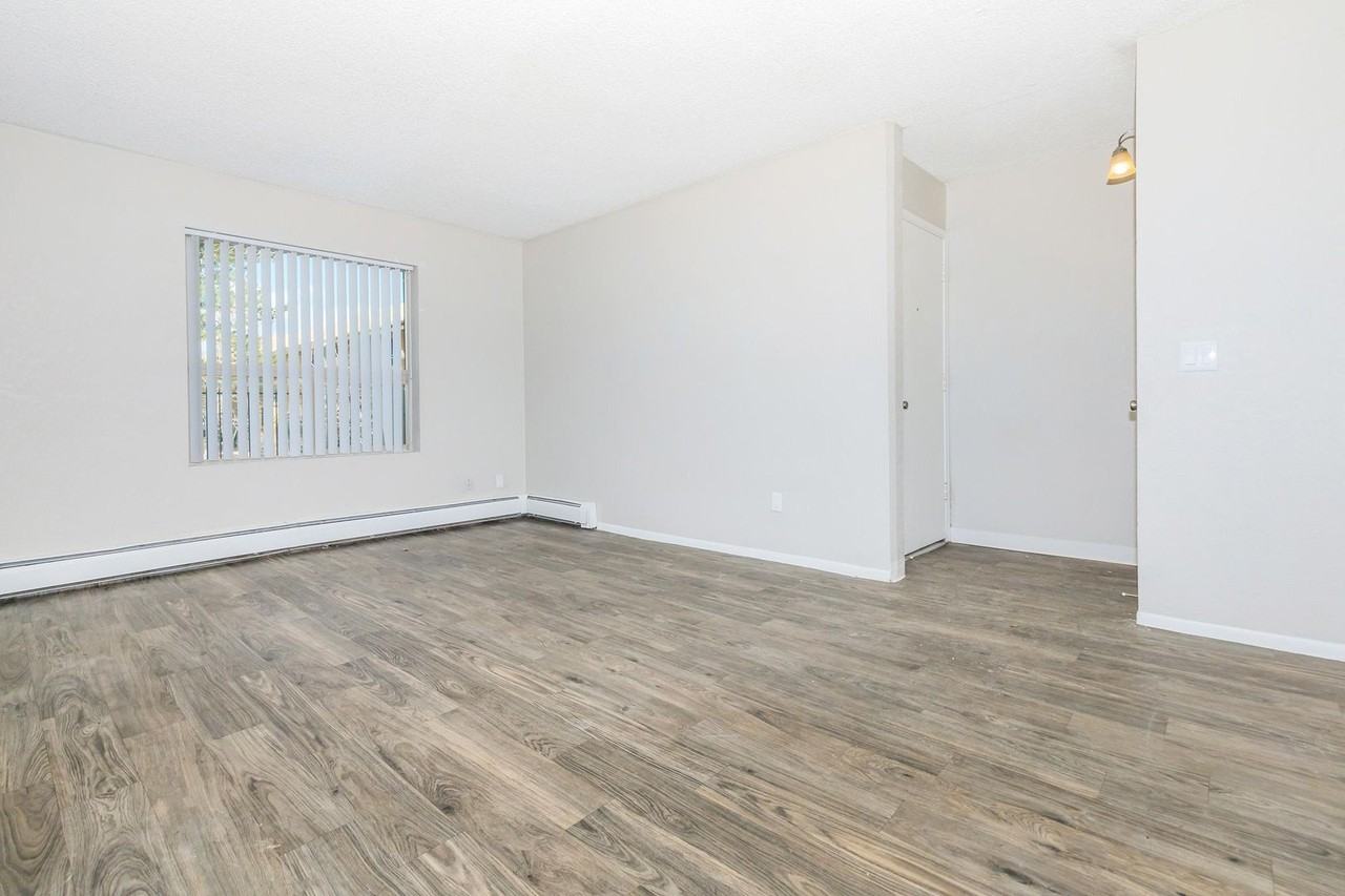 Aspen Leaf - Photo 2 of 13