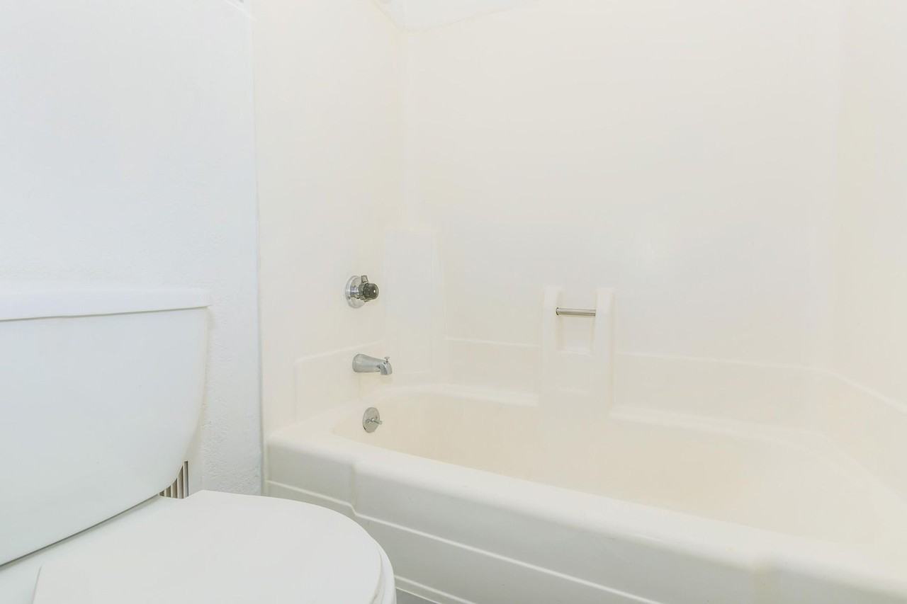 Aspen Leaf - Photo 6 of 13