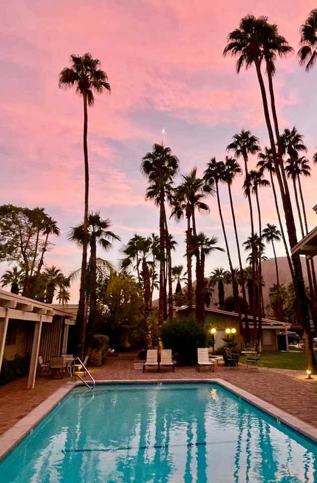 PS T 290 S - Photo 2 of 15