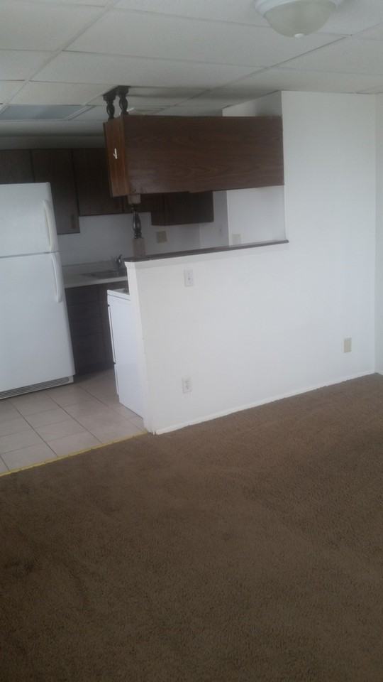 222 Adams Ave - Photo 7 of 12