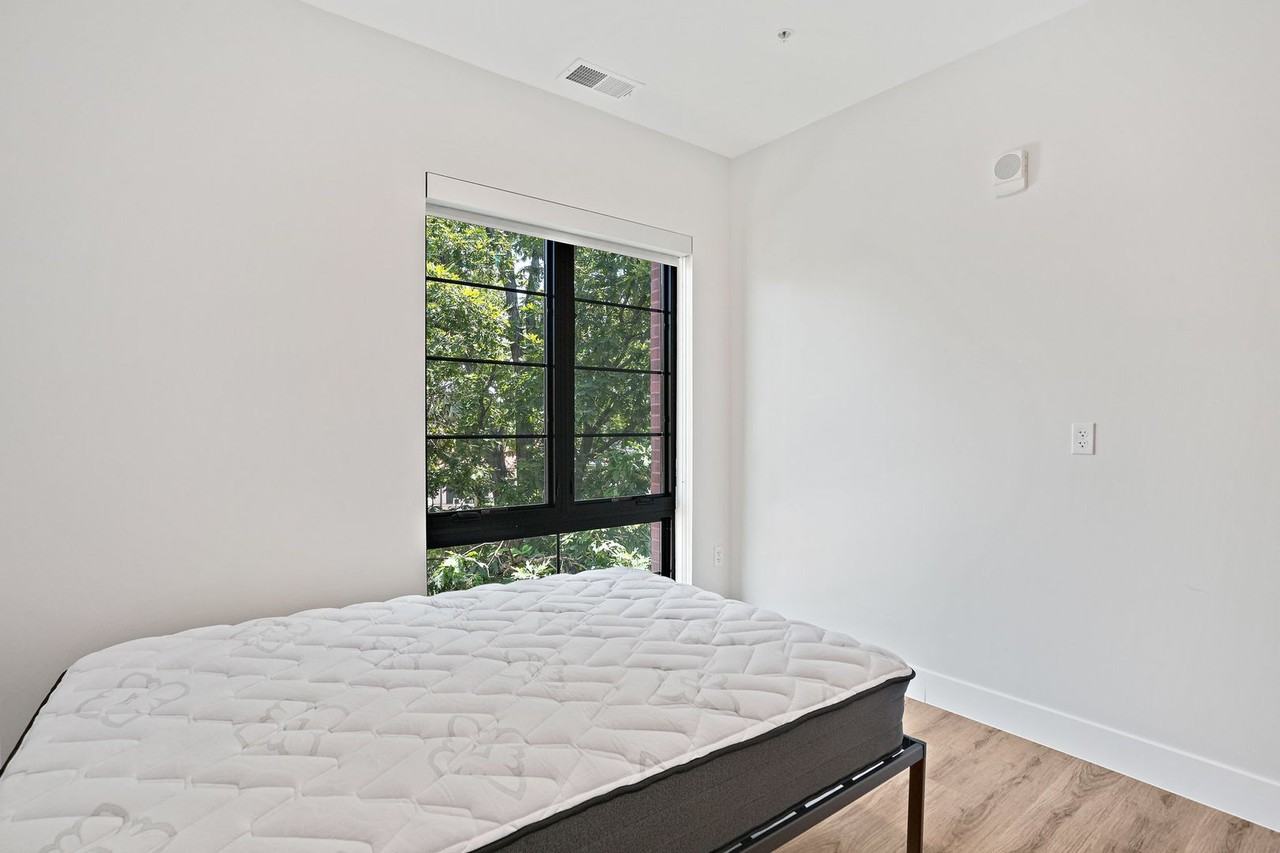 Cypress on Vine - Photo 6 of 50