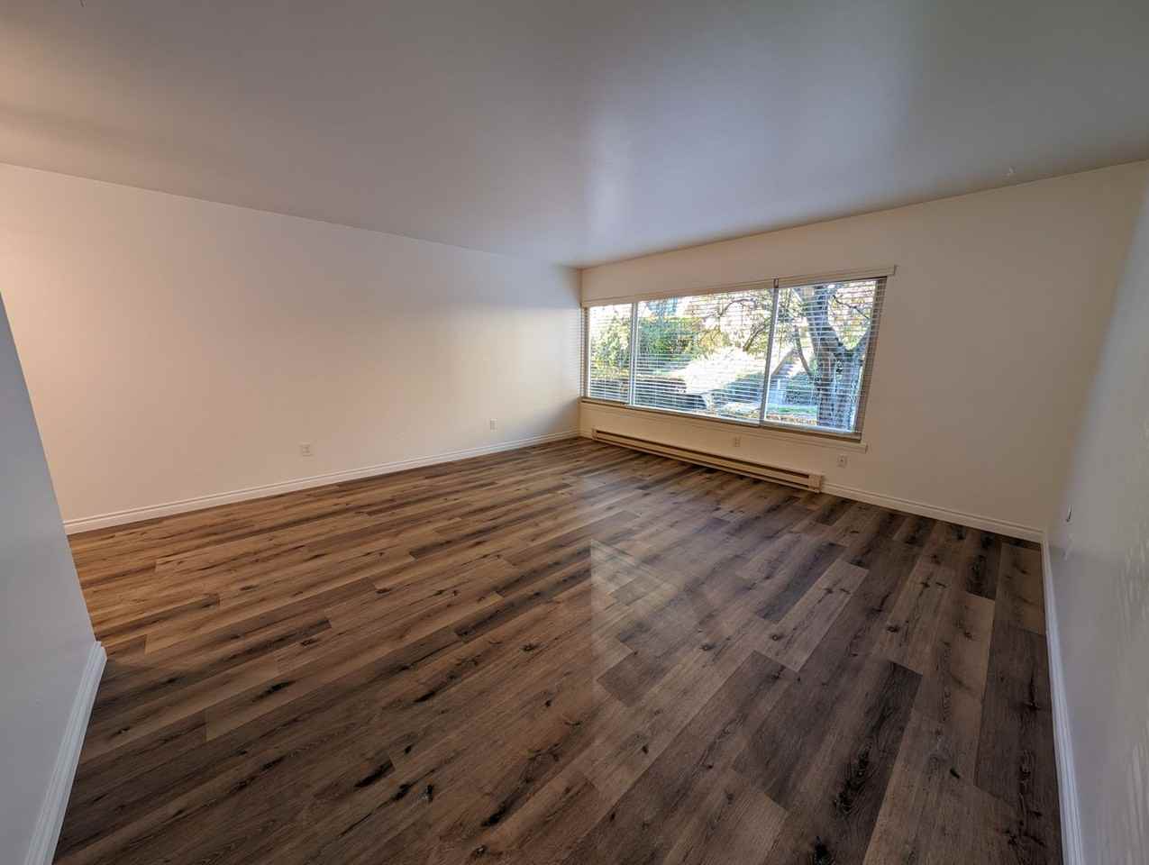 Tiki Apartments - Photo 6 of 32