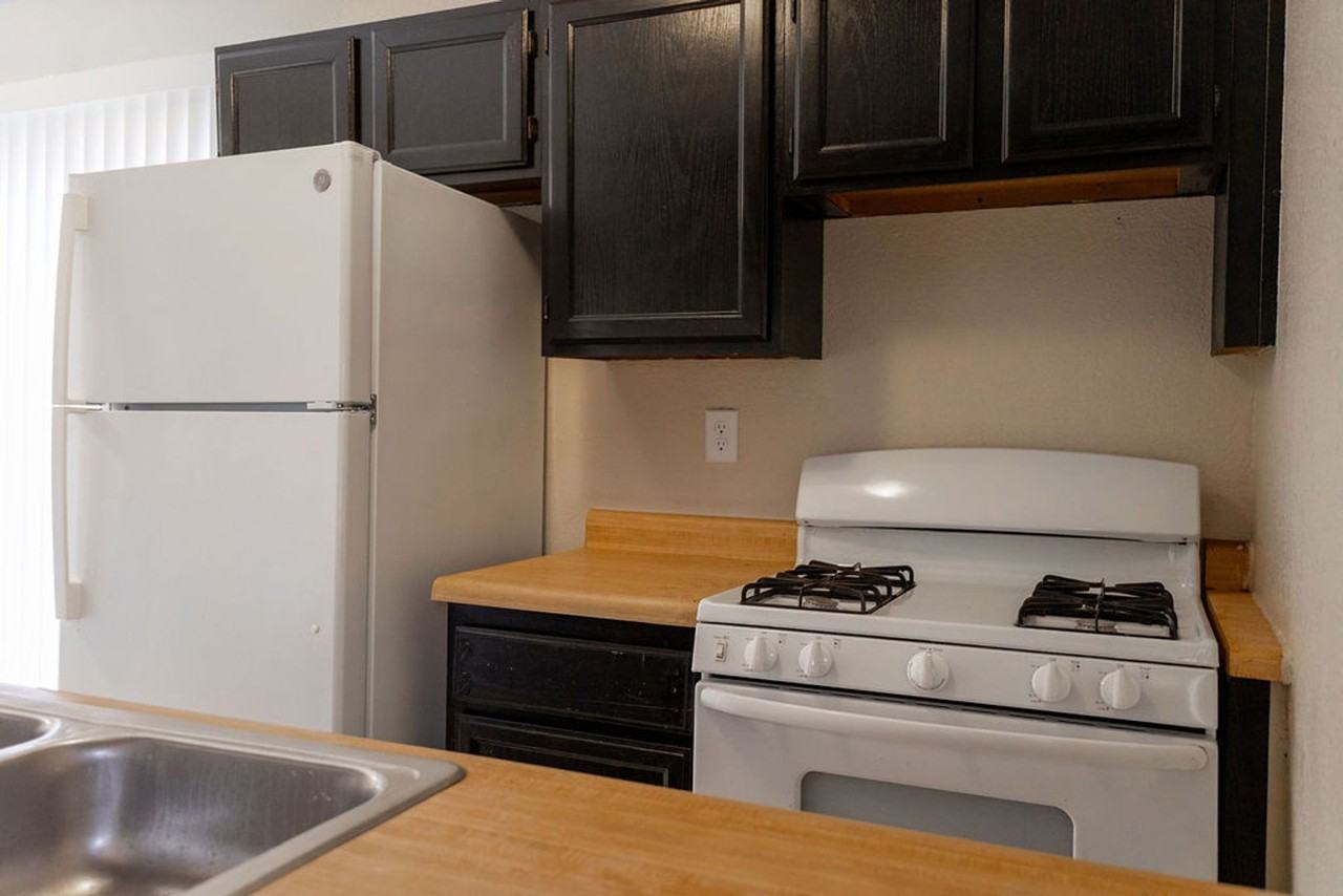 Lake Omega 2009 - Photo 3 of 17