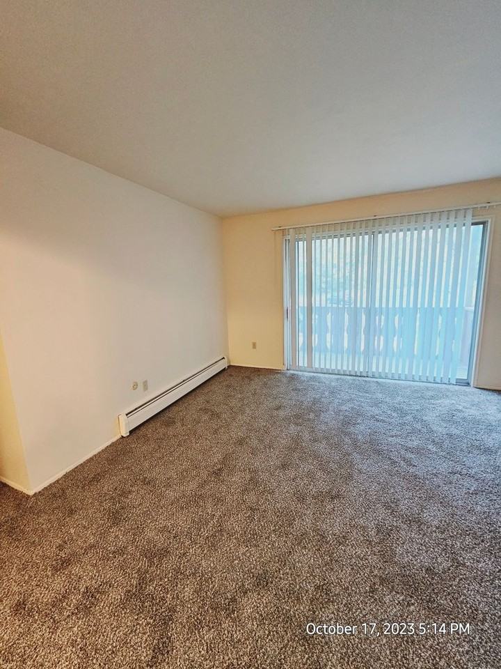 Lakeview Apartments - Photo 4 of 29