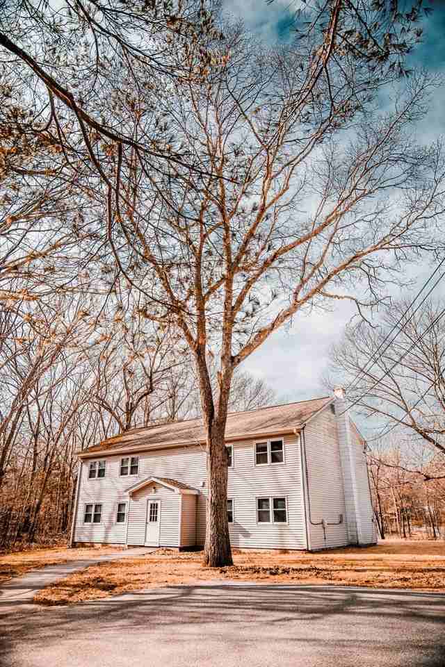 Clubhouse - Photo 6 of 27