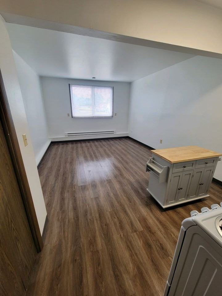 Olympia Apartments (Olympia Marquette LLC) - Photo 3 of 15