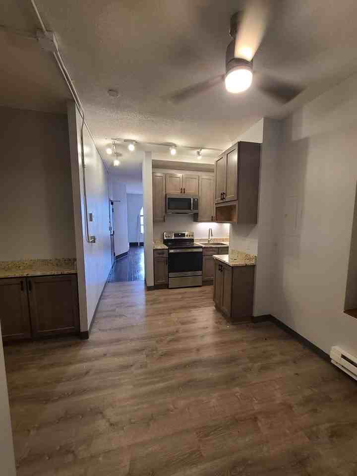 NEWLY RENOVATED APARTMENT IN HISTORIC ELLIOT PARK - Photo 5 of 11